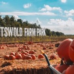 Pumpkin Picking - Pick your own Pumpkins in the Cotswolds!